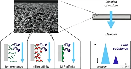 Pwochen-Jenerasyon Teknoloji Biopurification: Teyori Fondamantal, Atribi Kle,...